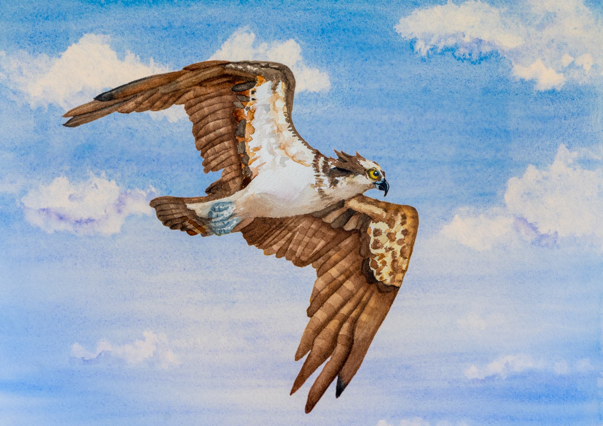 1 A, artwork by Penny Albright