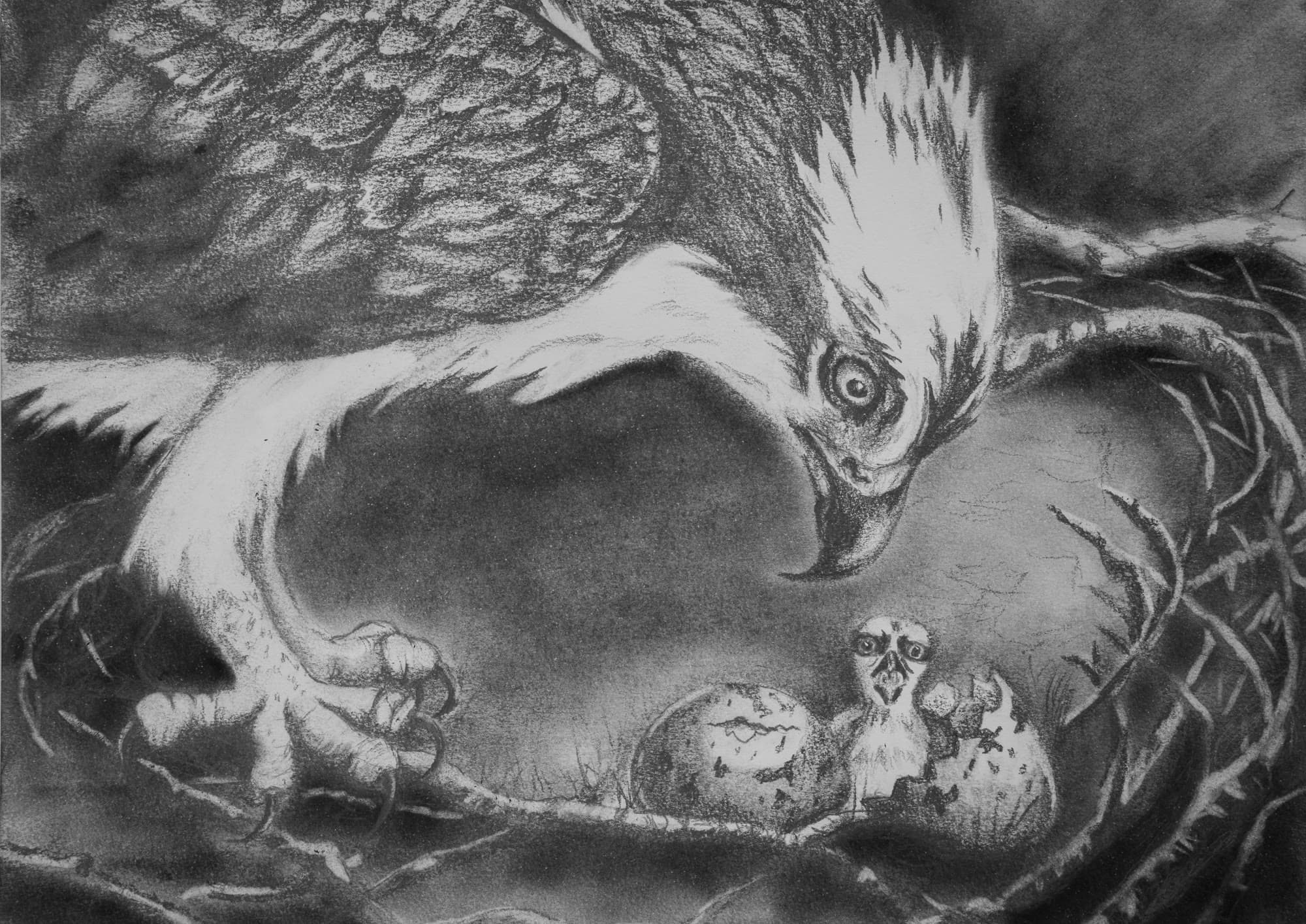 10, artwork by Penny Albright