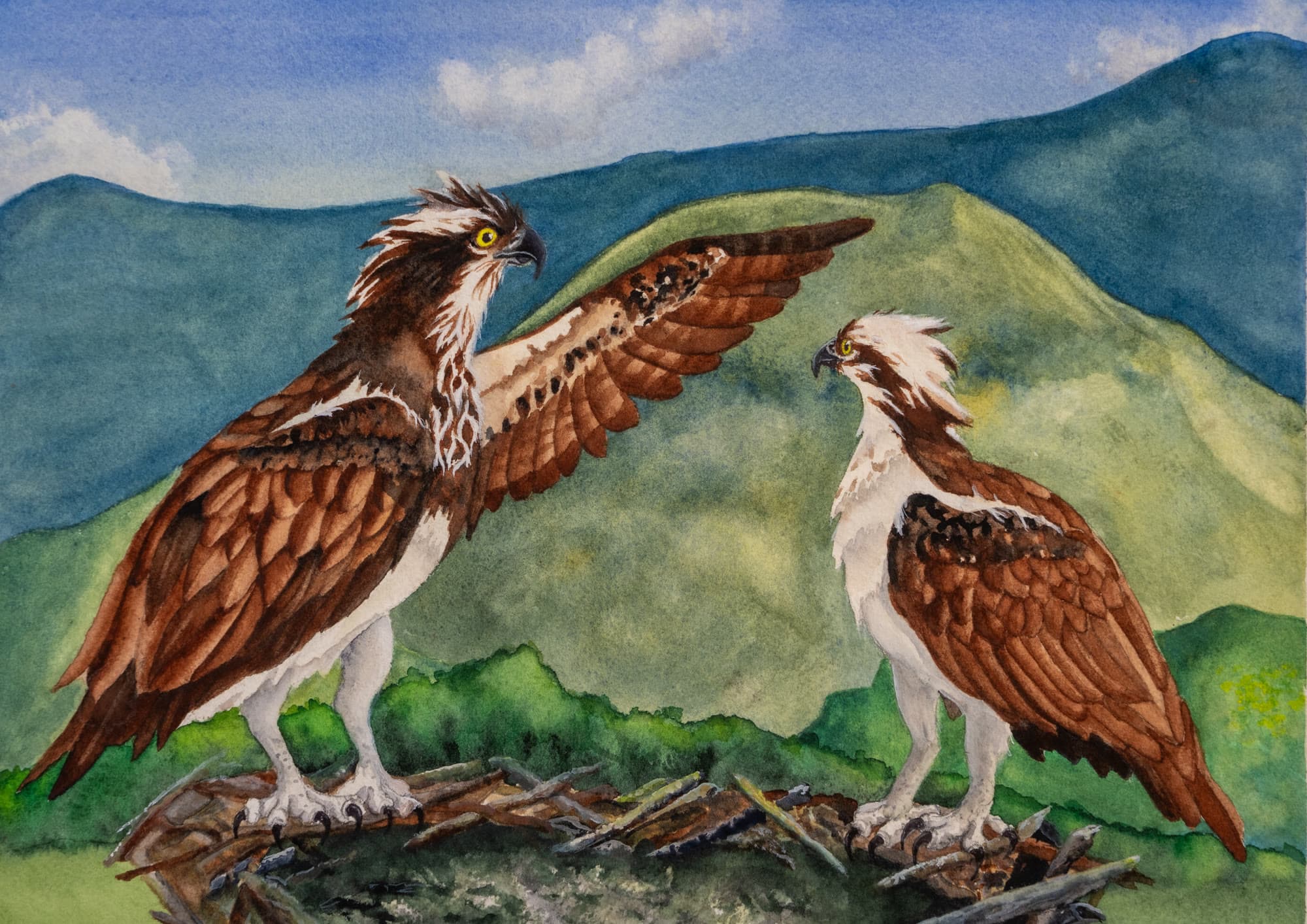 17, artwork by Penny Albright