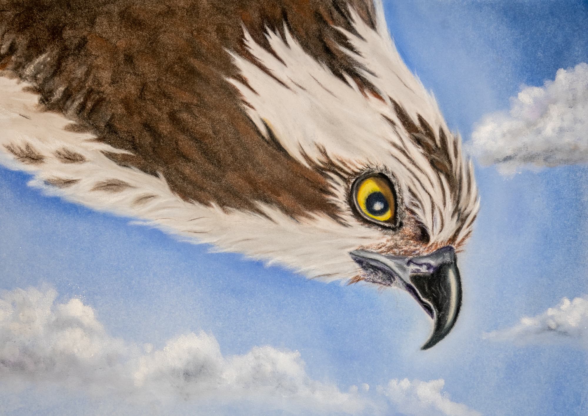 2, artwork by Penny Albright
