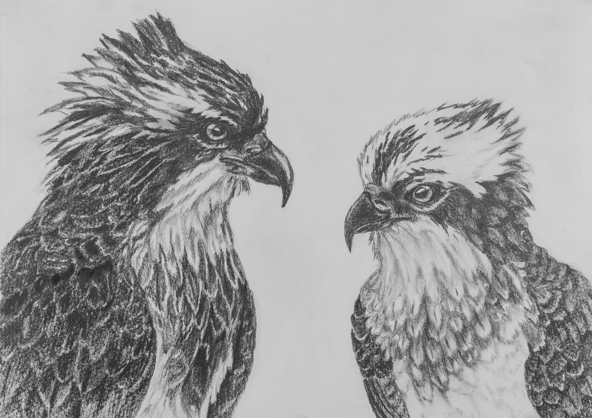 7, artwork by Penny Albright