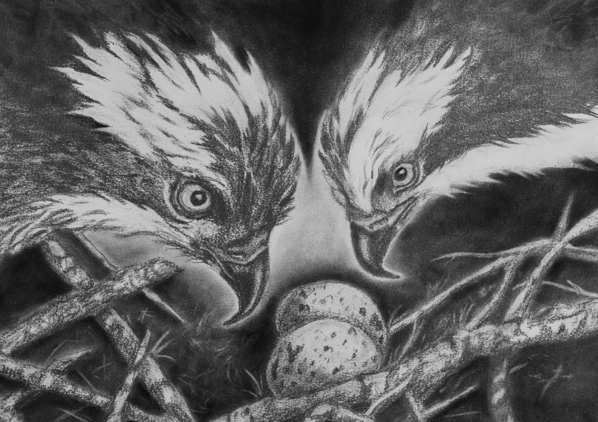 8, artwork by Penny Albright