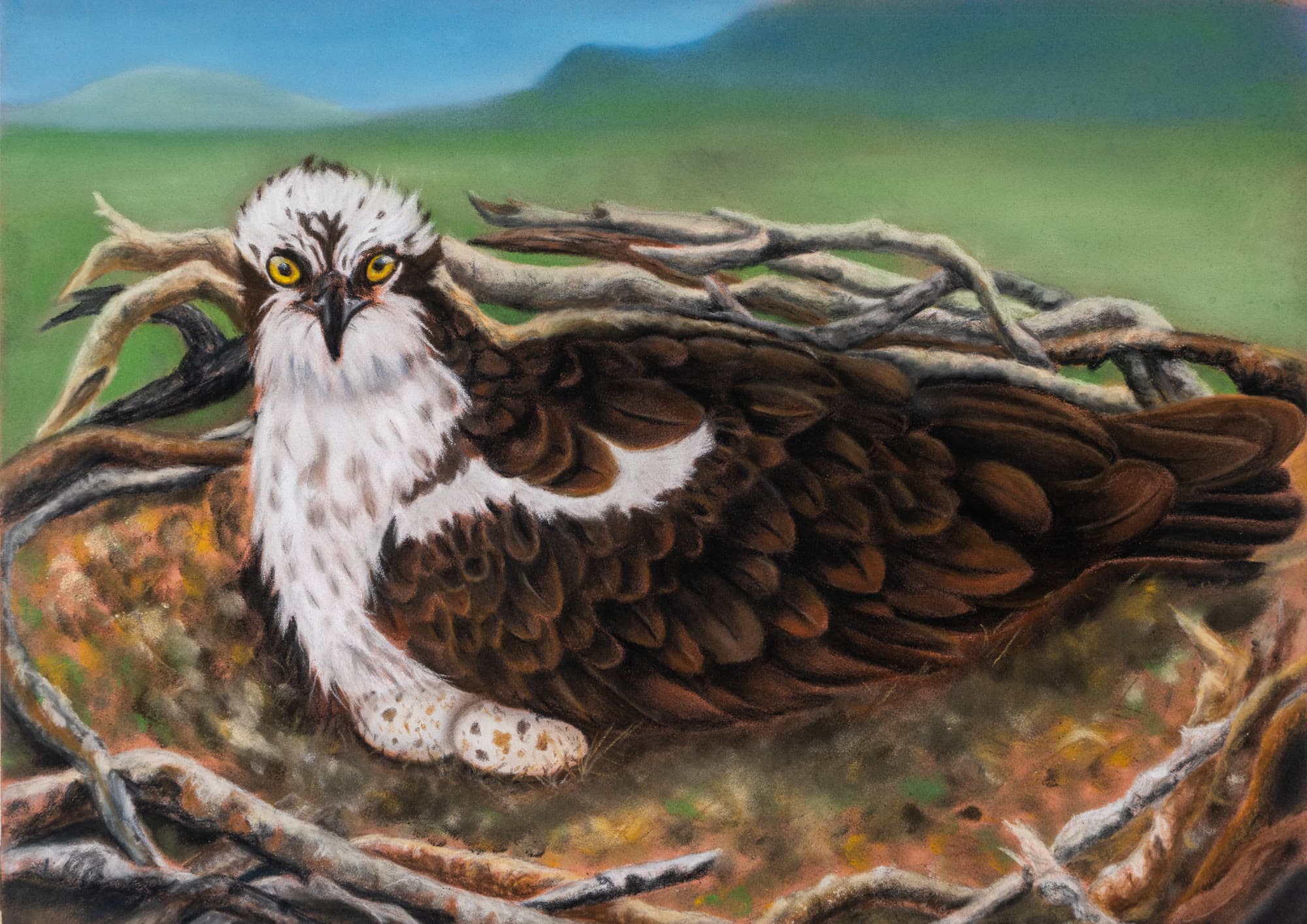 9 A, artwork by Penny Albright